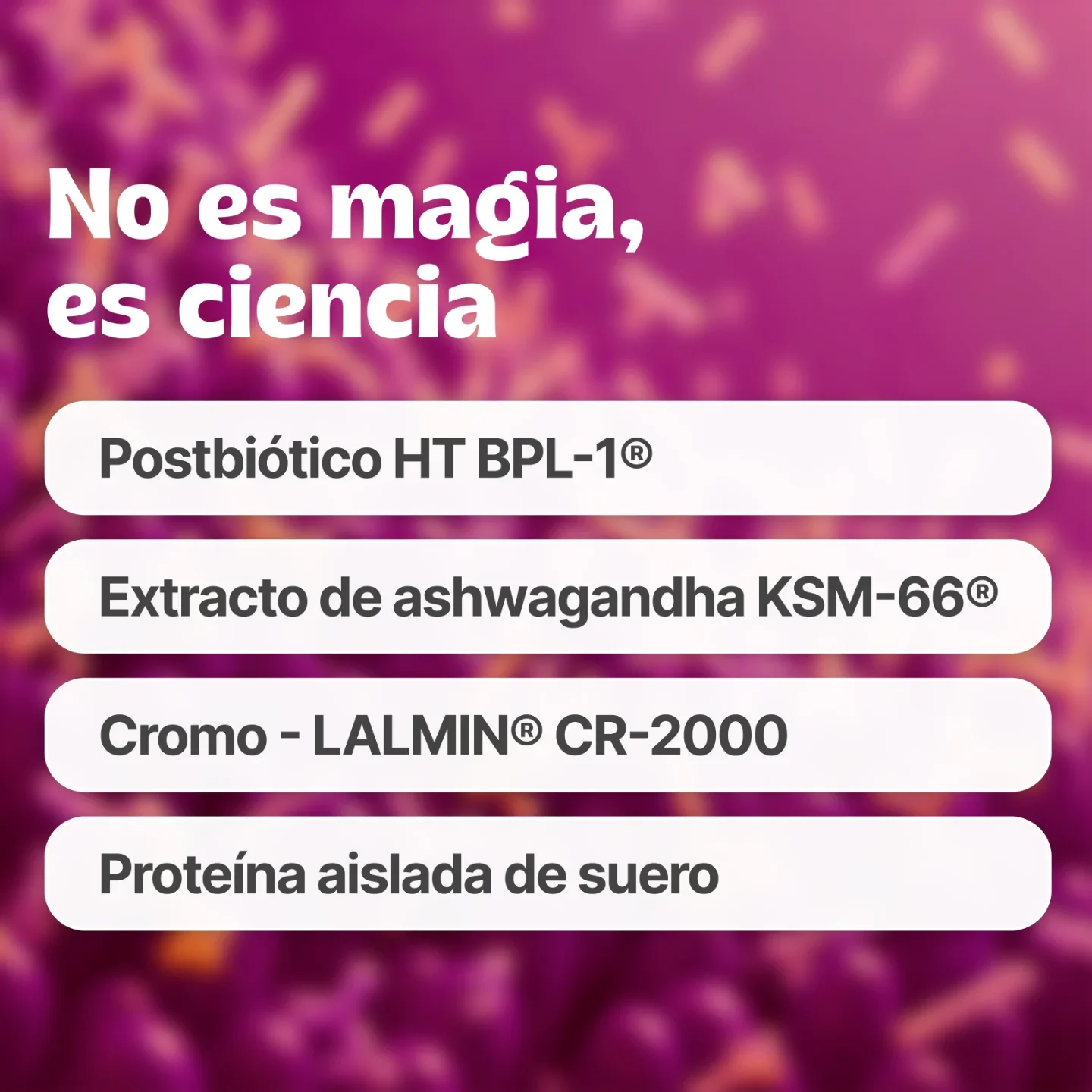 FIT BLEND® FRESA - Image 6
