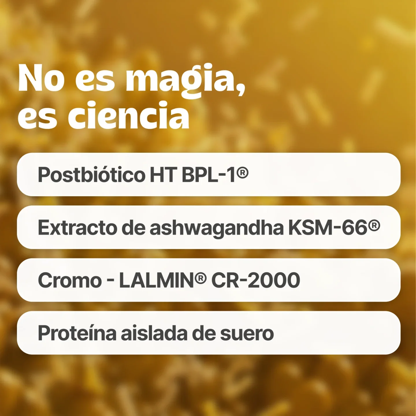 FIT BLEND® VAINILLA - Image 6